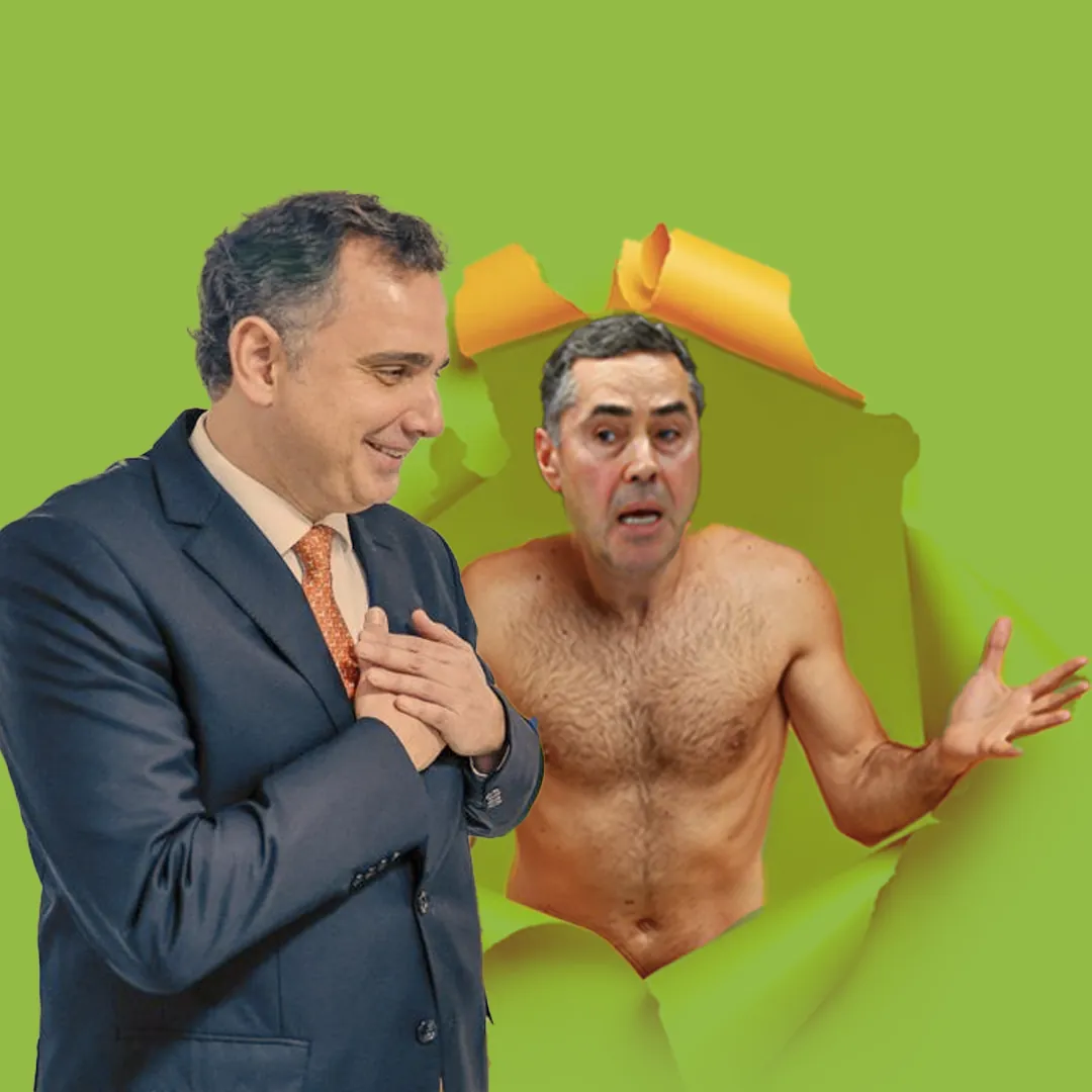 Capa: Togas em perigo