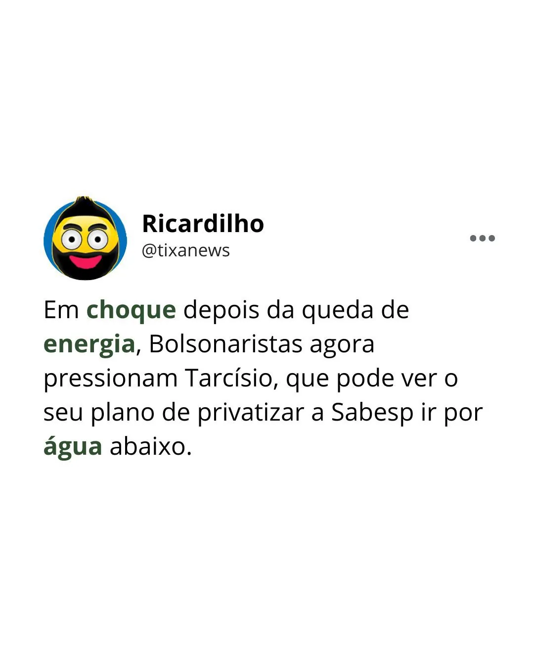 Capa: Ricardilho, o rei do trocadilho