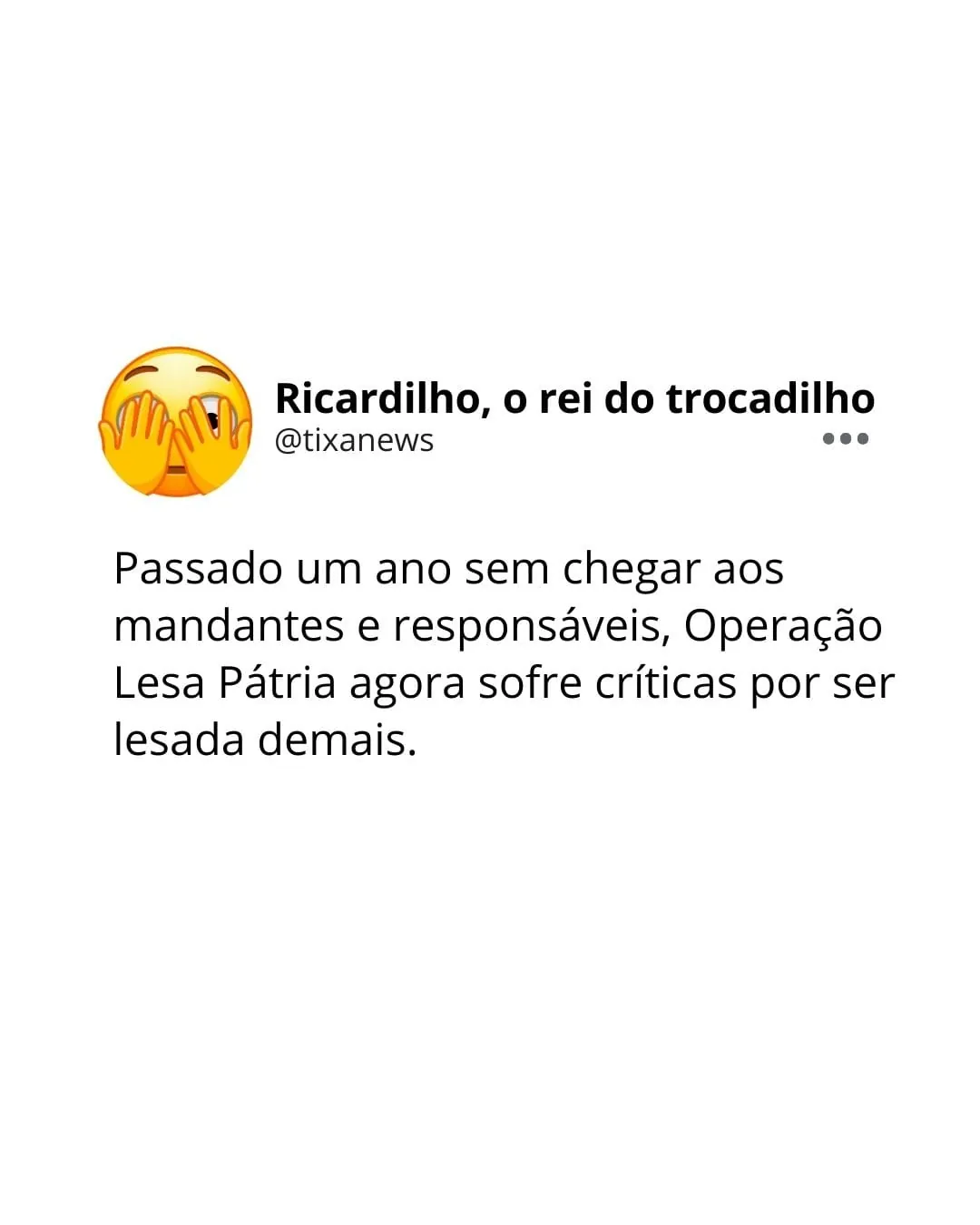 Capa: Ricardilho e os atos