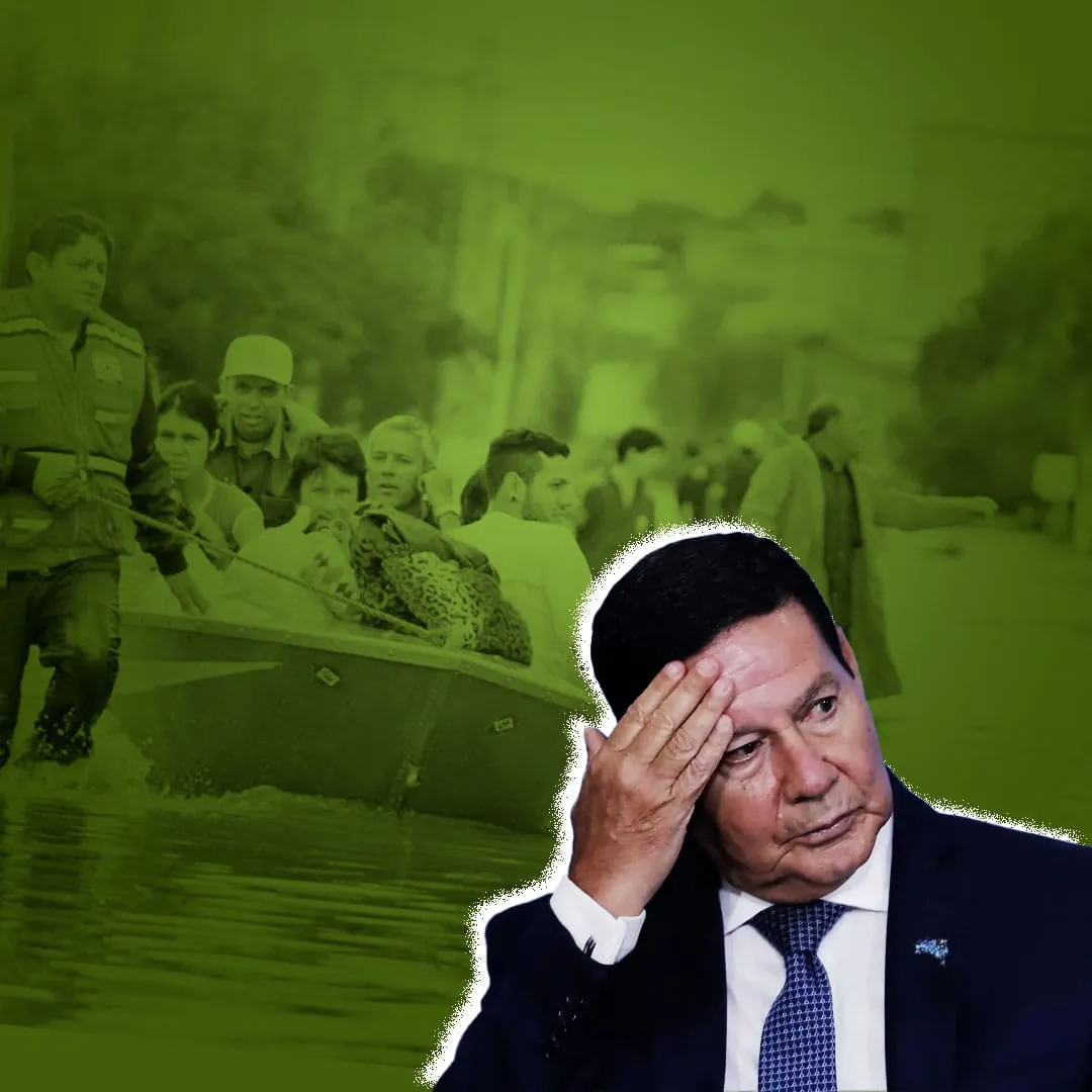 Capa: O pato da lagoa
